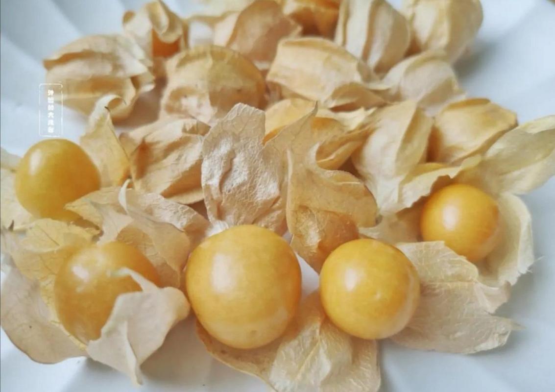 补硒的水果之王是谁（补硒的水果有哪些）-硒宝网