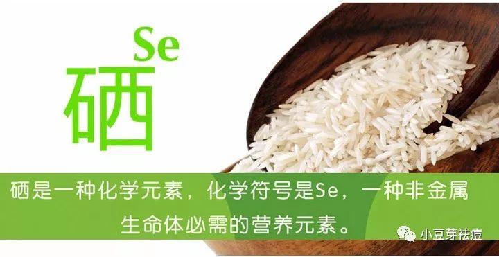 吃什么食物补硒和锌(锌补食物吃硒片有用吗)-硒宝网