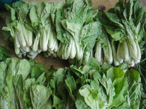 成年人怎么补钙（成人补钙）-硒宝网