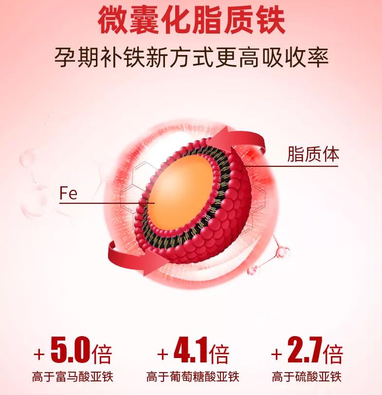 补铁补血最快的食物(补血补铁的食物)-硒宝网