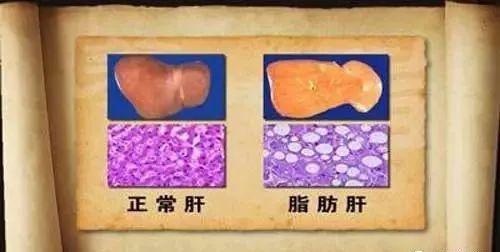 全民补硒的 重要性(全民补硒计划)-硒宝网