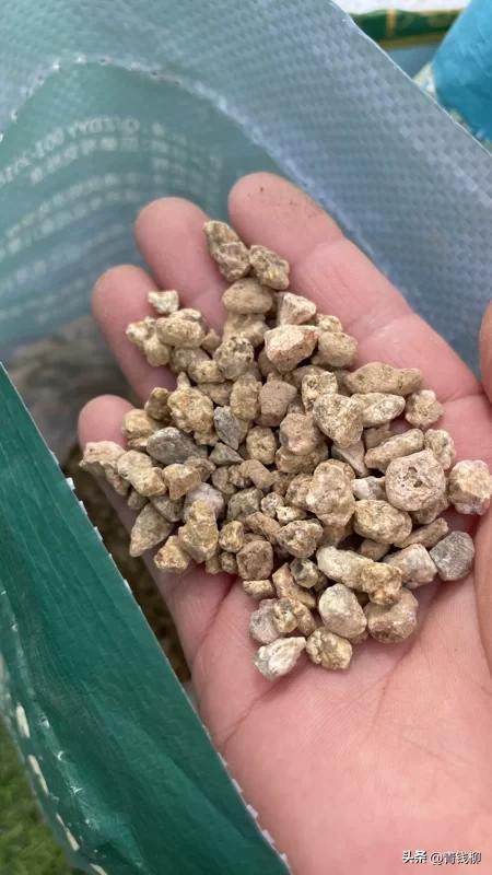 补铁颗粒(补铁颗粒怎么吃法)-硒宝网