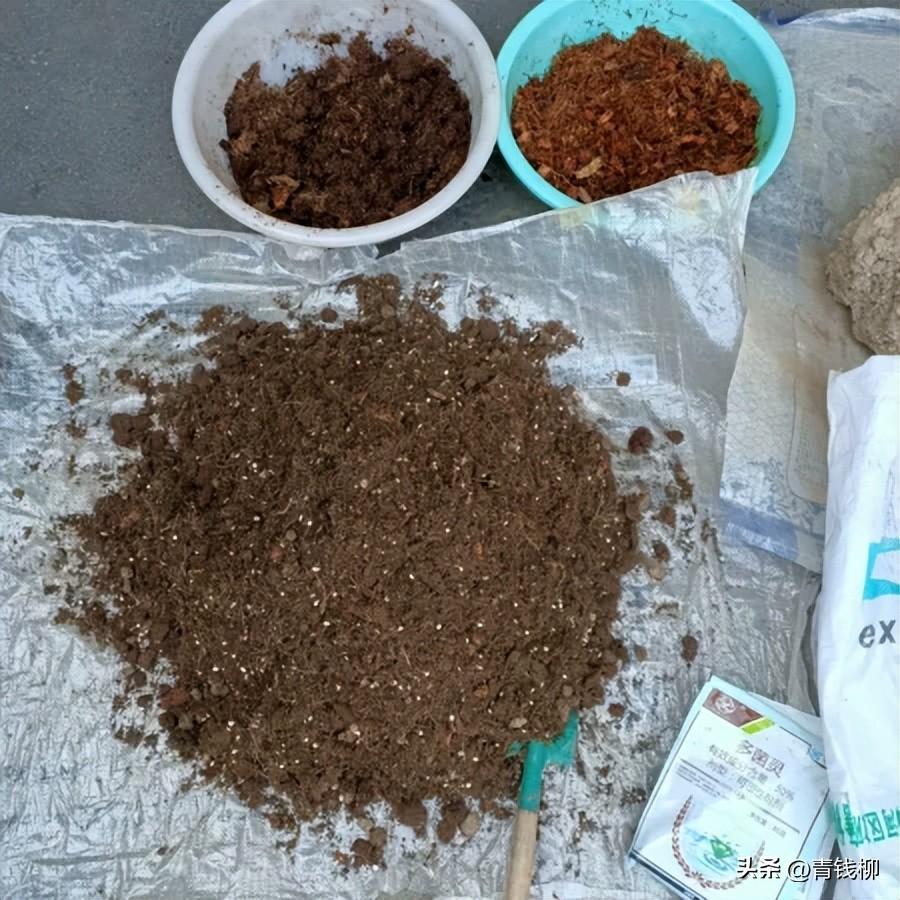 补铁颗粒(补铁颗粒怎么吃法)-硒宝网