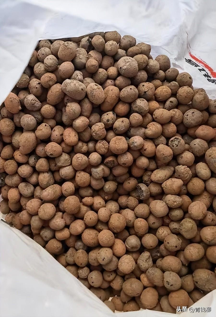 补铁颗粒(补铁颗粒怎么吃法)-硒宝网