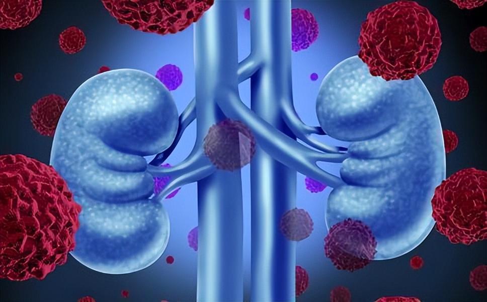 为什么要持续补硒呢（补硒要吃几个月）-硒宝网