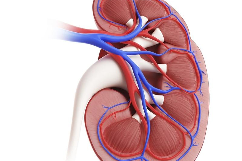 为什么要持续补硒呢（补硒要吃几个月）-硒宝网
