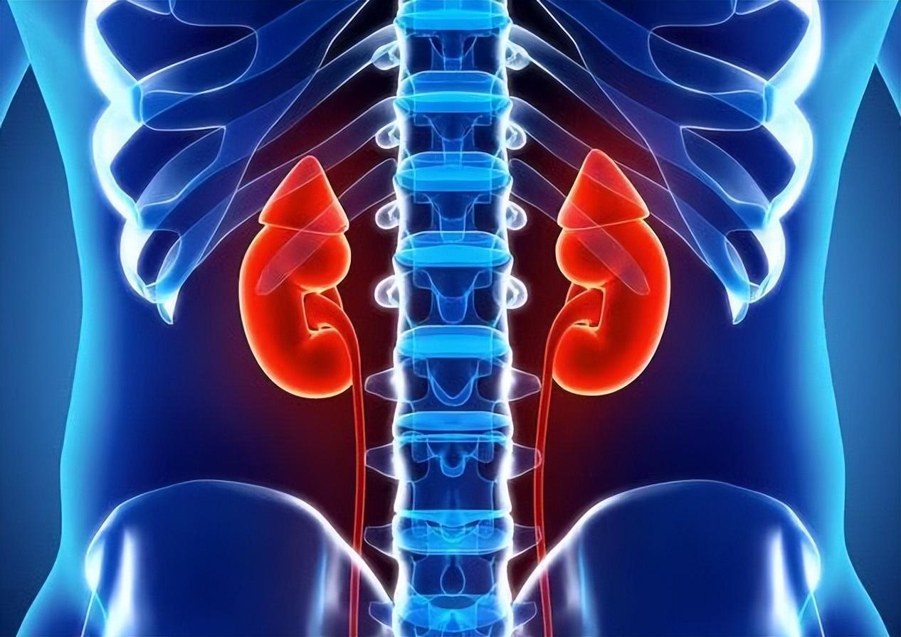 为什么要持续补硒呢（补硒要吃几个月）-硒宝网