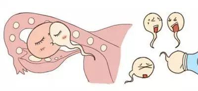 补铁颗粒(补铁是颗粒好还是口服的好)-硒宝网