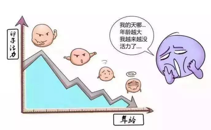 补铁颗粒(补铁是颗粒好还是口服的好)-硒宝网