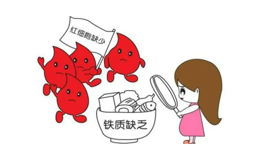 用铁锅炒菜能补铁吗(用铁锅吃饭能补铁吗)-硒宝网