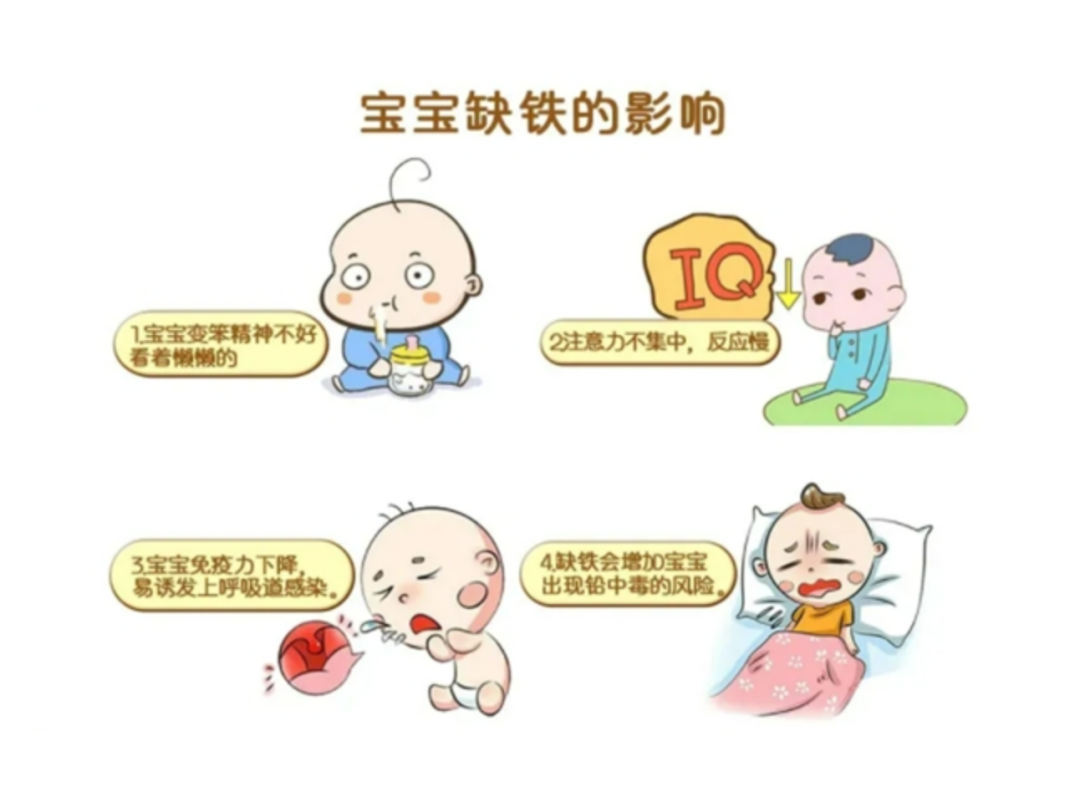 用铁锅炒菜能补铁吗(用铁锅吃饭能补铁吗)-硒宝网