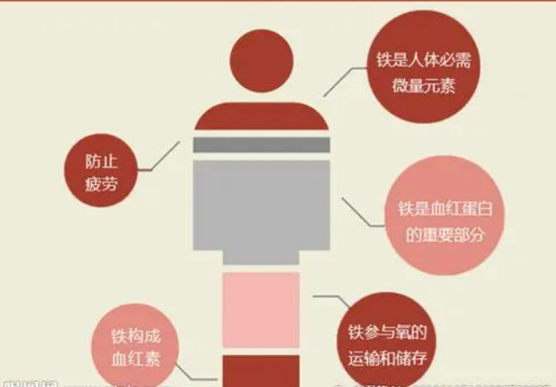 用铁锅炒菜能补铁吗(用铁锅吃饭能补铁吗)-硒宝网