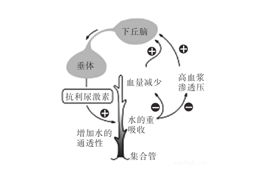 低钠血症怎么补钠(低钠血症补钠补不上去)-硒宝网