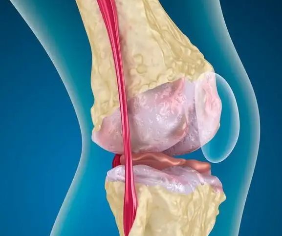 瓜子补钙吗(瓜子补钙不)-硒宝网