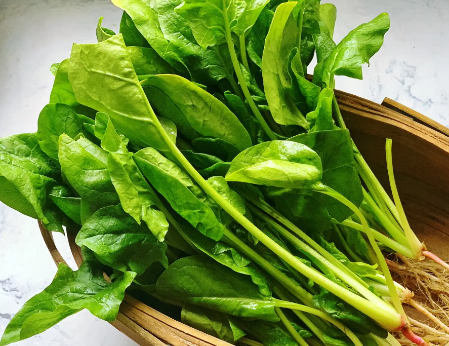 瓜子补钙吗(瓜子补钙不)-硒宝网