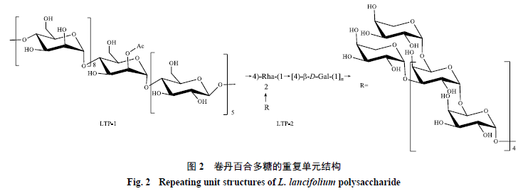 肺结节能补虫草硒吗(肺结节吃虫草有功效吗)-硒宝网