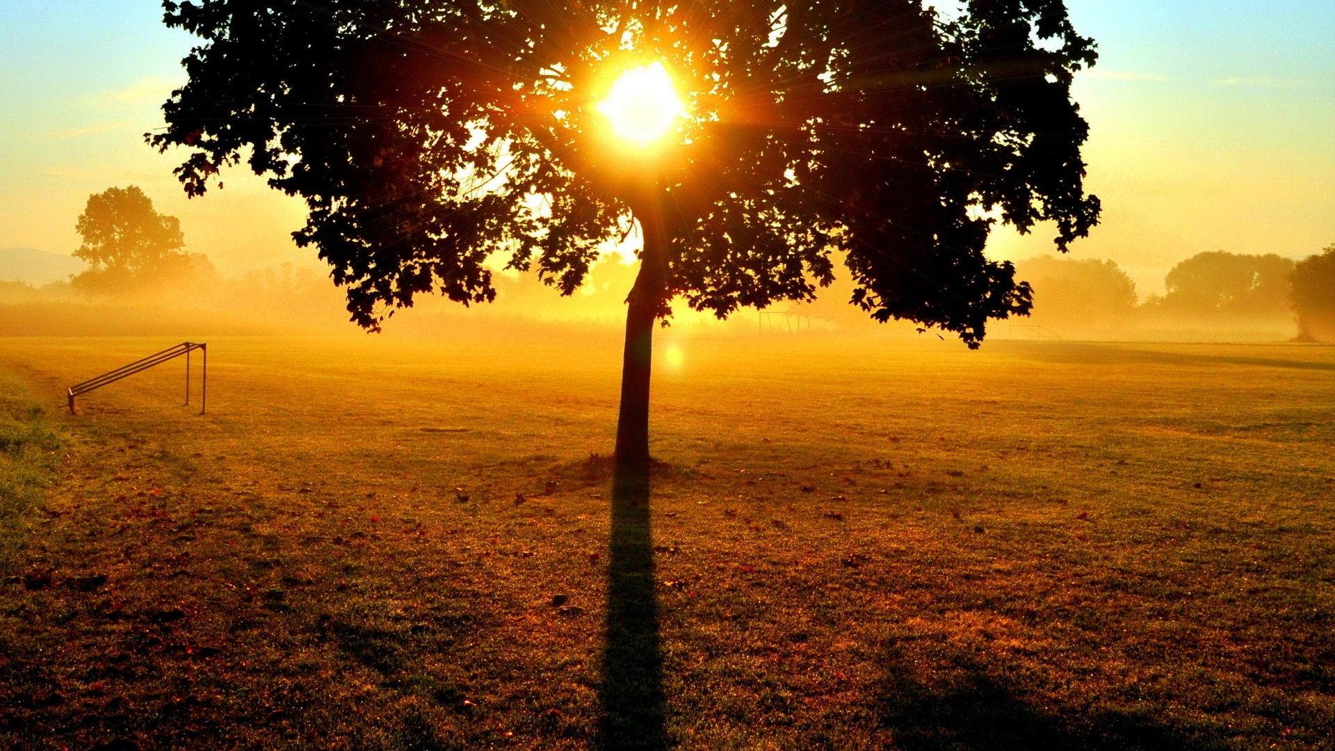 30岁需要补钙吗(补钙需要停一段时间吗)-硒宝网