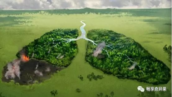 肺癌病人补硒有效吗(肺癌患者补硒有什么好处有用吗)-硒宝网