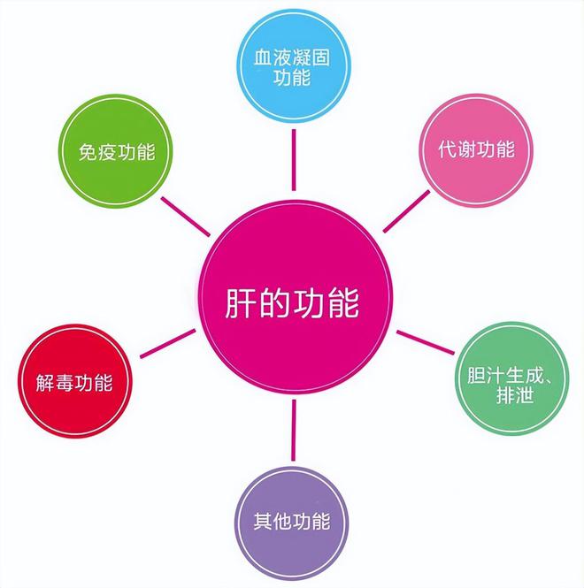 五十岁可以适当补硒（硒可以随便补充吗）-硒宝网