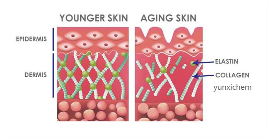 五十岁可以适当补硒（硒可以随便补充吗）-硒宝网