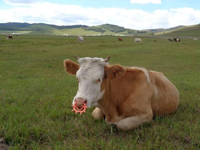 怀孕能吃补硒的药吗（怀孕吃硒片）-硒宝网