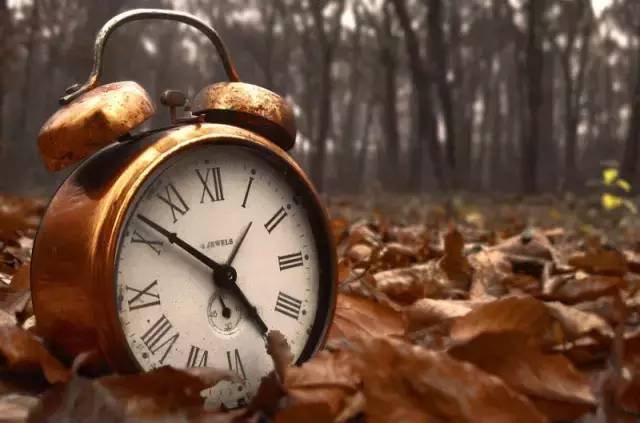 补硒对睡眠有改善没(补硒对睡眠有好处吗)-硒宝网