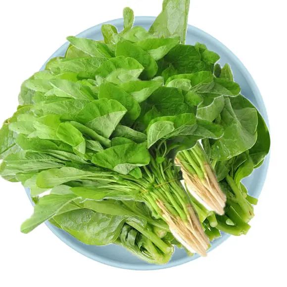 补钙第一名（补钙吃什么食物最好最快）-硒宝网