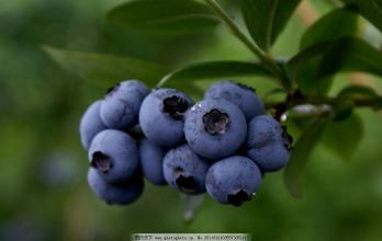 怀孕几周开始补钙(怀孕开始补钙周期是多少)-硒宝网