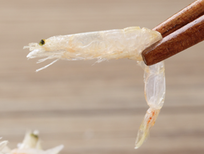 虾米补钙吗（补钙虾米好还是钙片好）-硒宝网