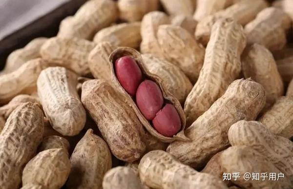 补硒可以排铅嘛女性(女的补硒)-硒宝网