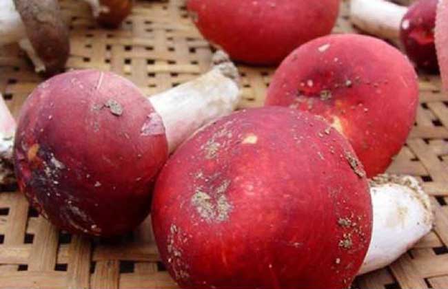 血压高能补硒元素吗（补硒能治疗高血压吗）-硒宝网