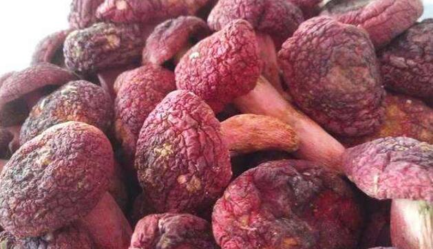 血压高能补硒元素吗（补硒能治疗高血压吗）-硒宝网