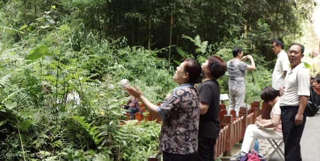 补硒和空气有关系没（补硒和空气有关系没）-硒宝网