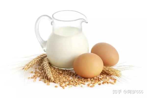 骨折需要补钙吗（骨折补钙需要补多长时间）-硒宝网