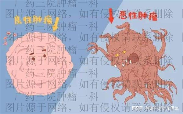 癌患者康复能补硒吗(康复癌能补患者硒片吗)-硒宝网