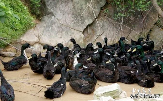 孕妇每天补硒多少钱(每天孕妇补钱硒多少)-硒宝网