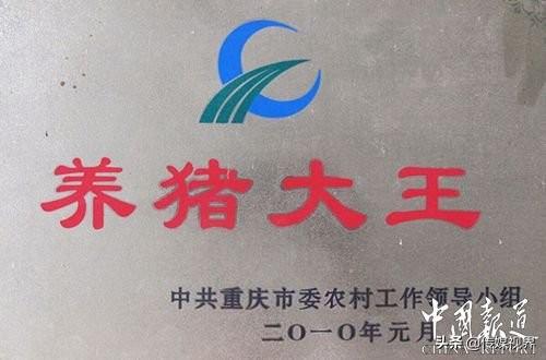 孕妇每天补硒多少钱(每天孕妇补钱硒多少)-硒宝网