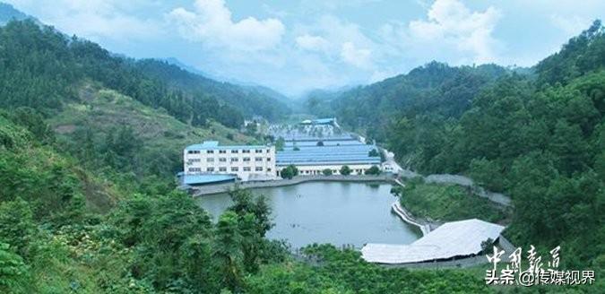 孕妇每天补硒多少钱(每天孕妇补钱硒多少)-硒宝网