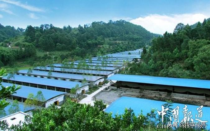 孕妇每天补硒多少钱(每天孕妇补钱硒多少)-硒宝网