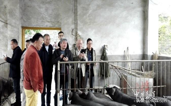 孕妇每天补硒多少钱(每天孕妇补钱硒多少)-硒宝网