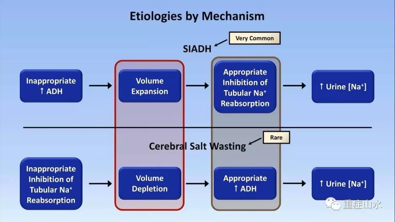 钠怎么补(钠补不上去什么原因)-硒宝网