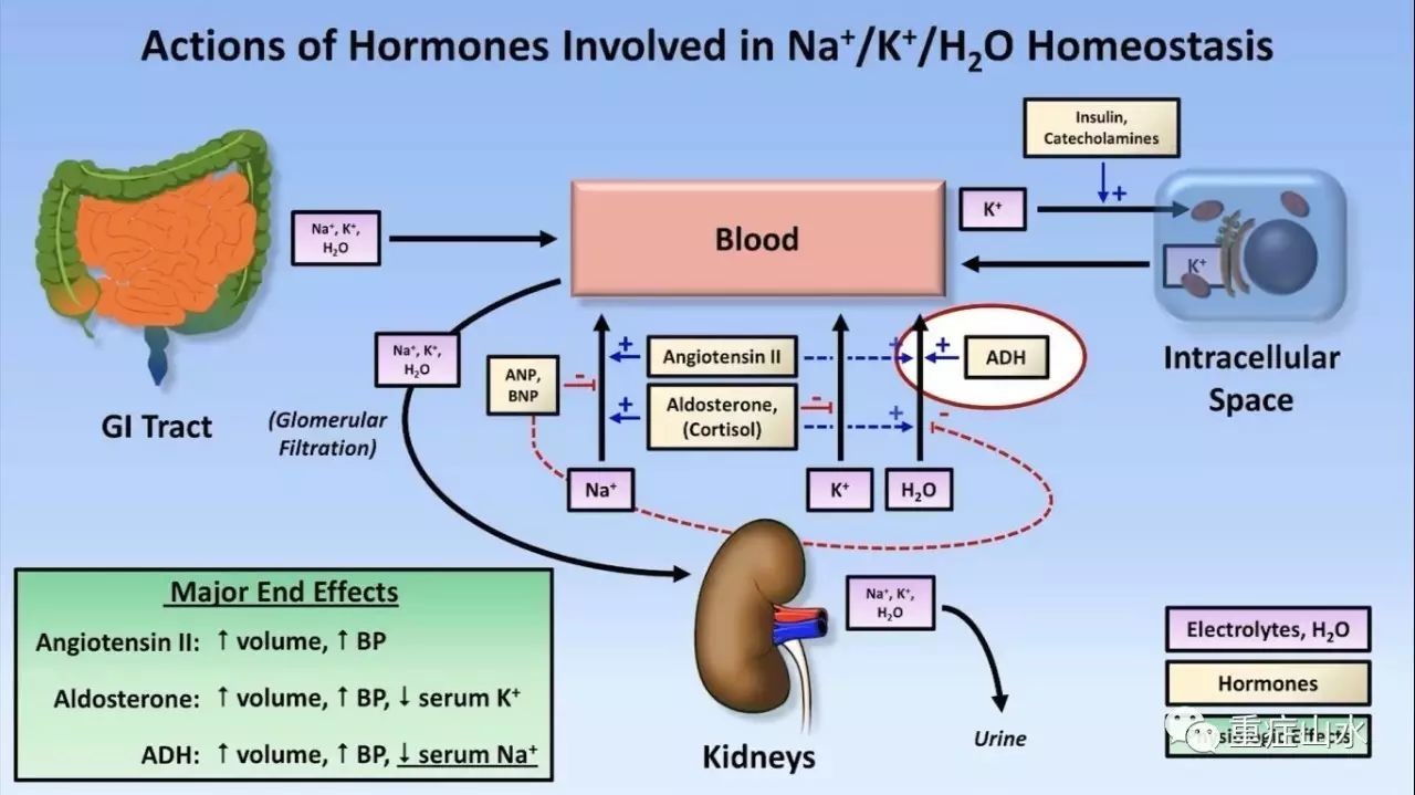 钠怎么补(钠补不上去什么原因)-硒宝网
