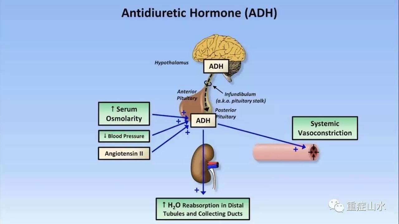 钠怎么补(钠补不上去什么原因)-硒宝网
