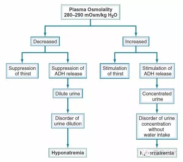 钠怎么补(钠补不上去什么原因)-硒宝网