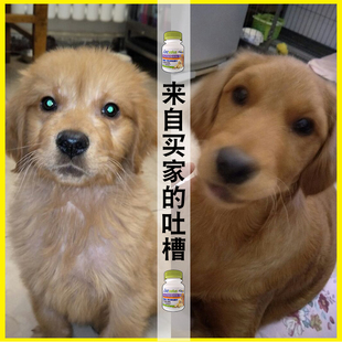 狗缺微量元素怎么补（狗子缺微量元素）-硒宝网