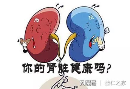 肾病可以喝补硒的吗(硒能补肾吗)-硒宝网