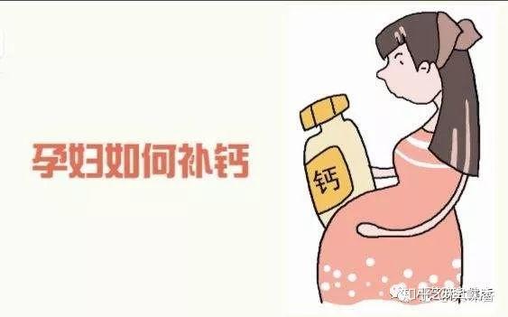怀孕  补钙（怀孕补钙的食物有哪些）-硒宝网