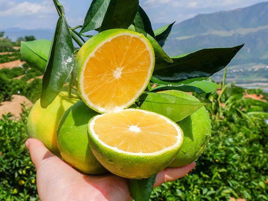 怎么样补硒最好最快(身体补硒)-硒宝网