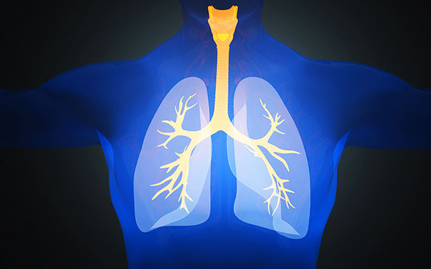 可补硒的食物有哪些(补食物硒可有副作用吗)-硒宝网