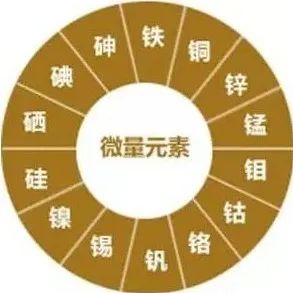 人体中微量元素(人体微量元素中含量最多的是)-硒宝网